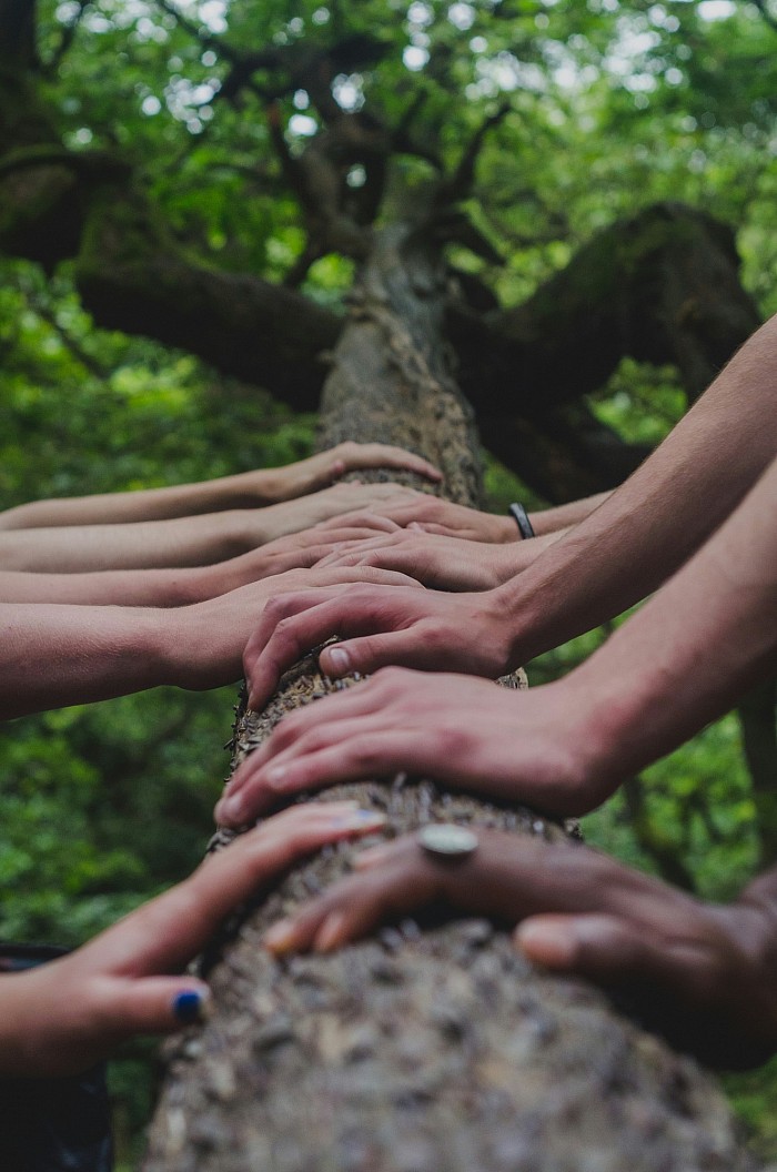 Manos en un arbol